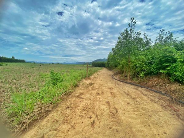 Bán Nhà Đất Ninh Hòa