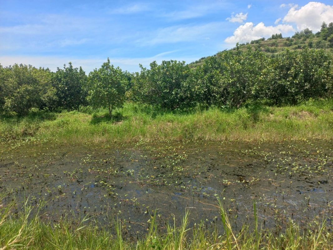 Bán Nhà Đất Ninh Hòa