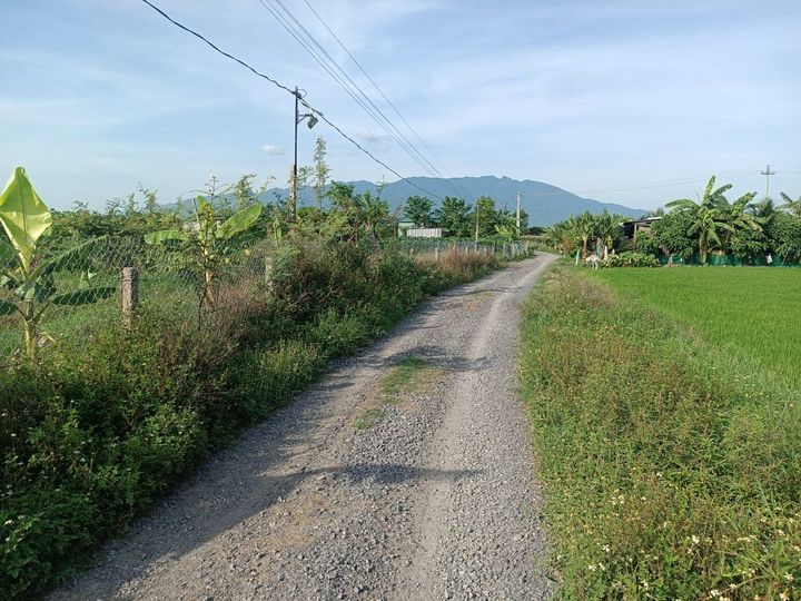 Bán Nhà Đất Ninh Hòa