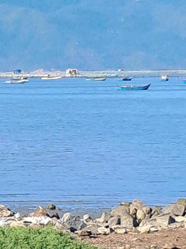 Bán Nhà Đất Ninh Hòa