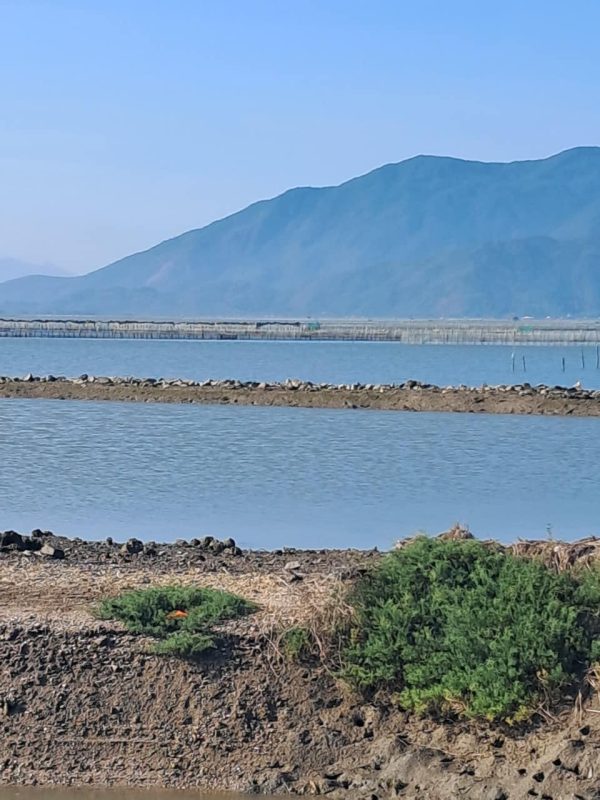 Bán Nhà Đất Ninh Hòa