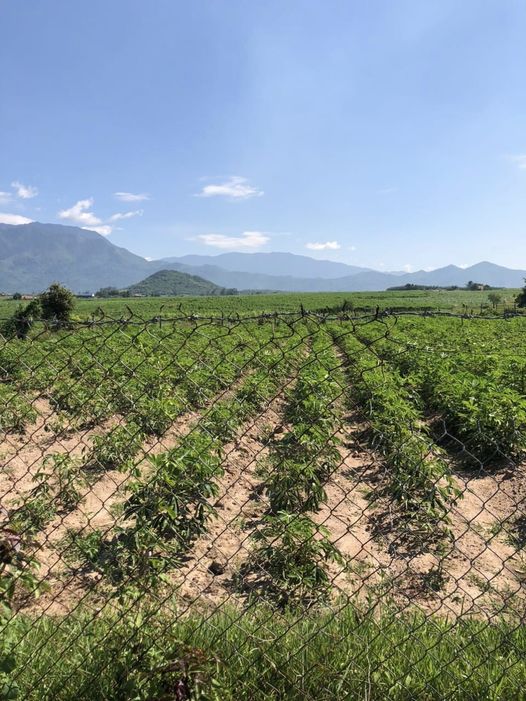 Bán Nhà Đất Ninh Hòa