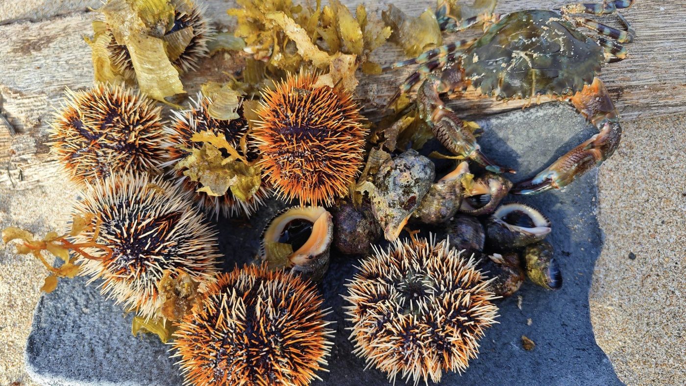 Bán Nhà Đất Ninh Hòa