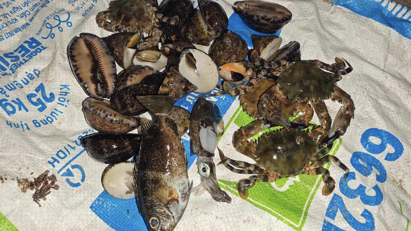 Bán Nhà Đất Ninh Hòa