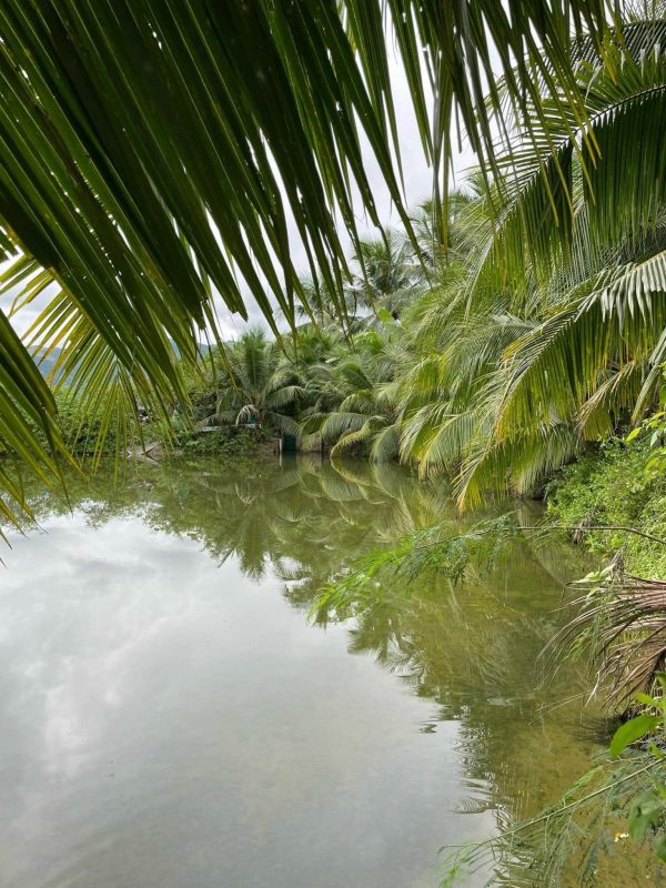 Bán Nhà Đất Ninh Hòa