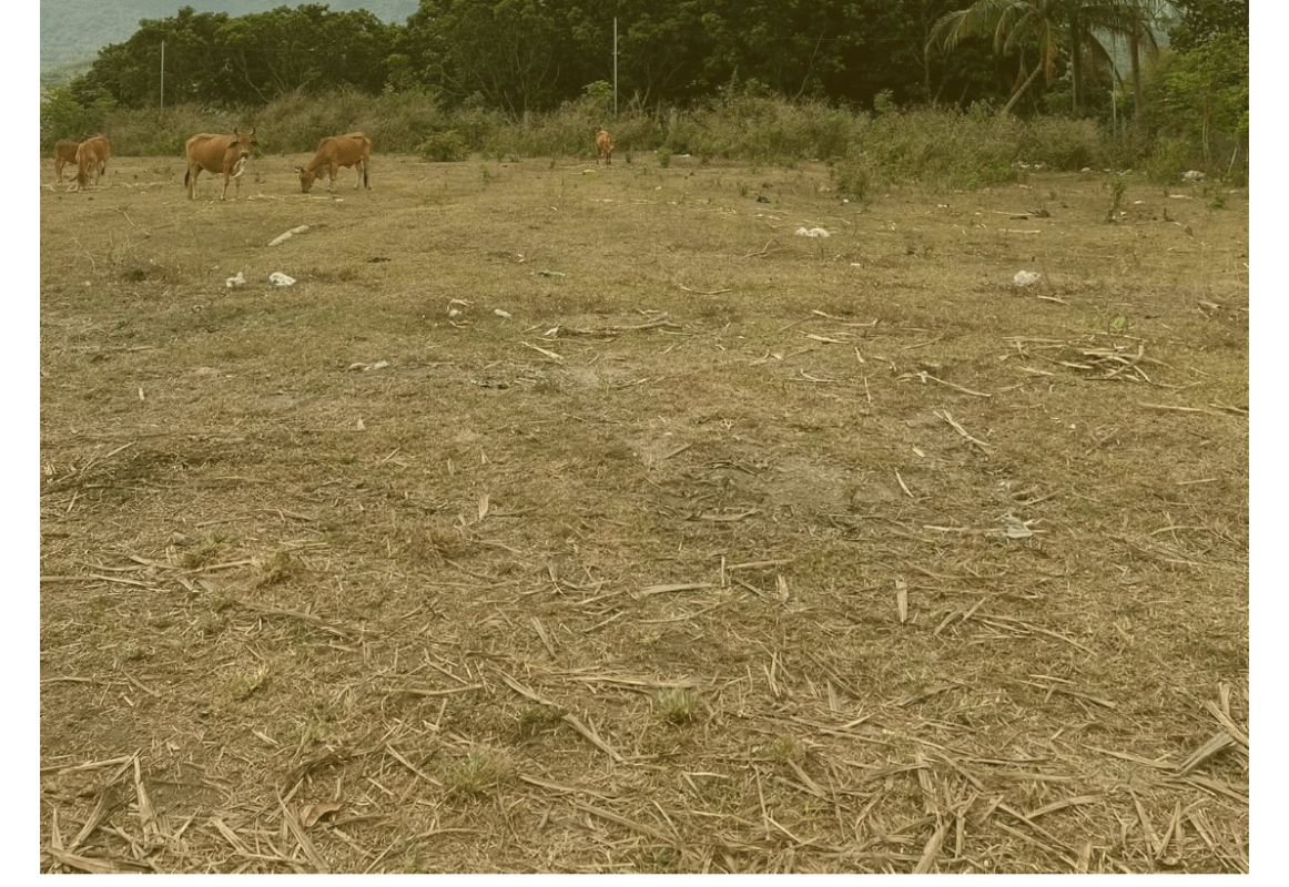 Bán Nhà Đất Ninh Hòa