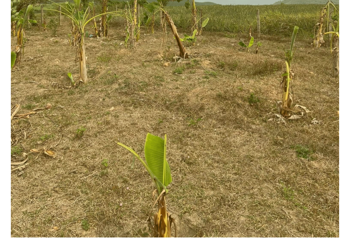 Bán Nhà Đất Ninh Hòa