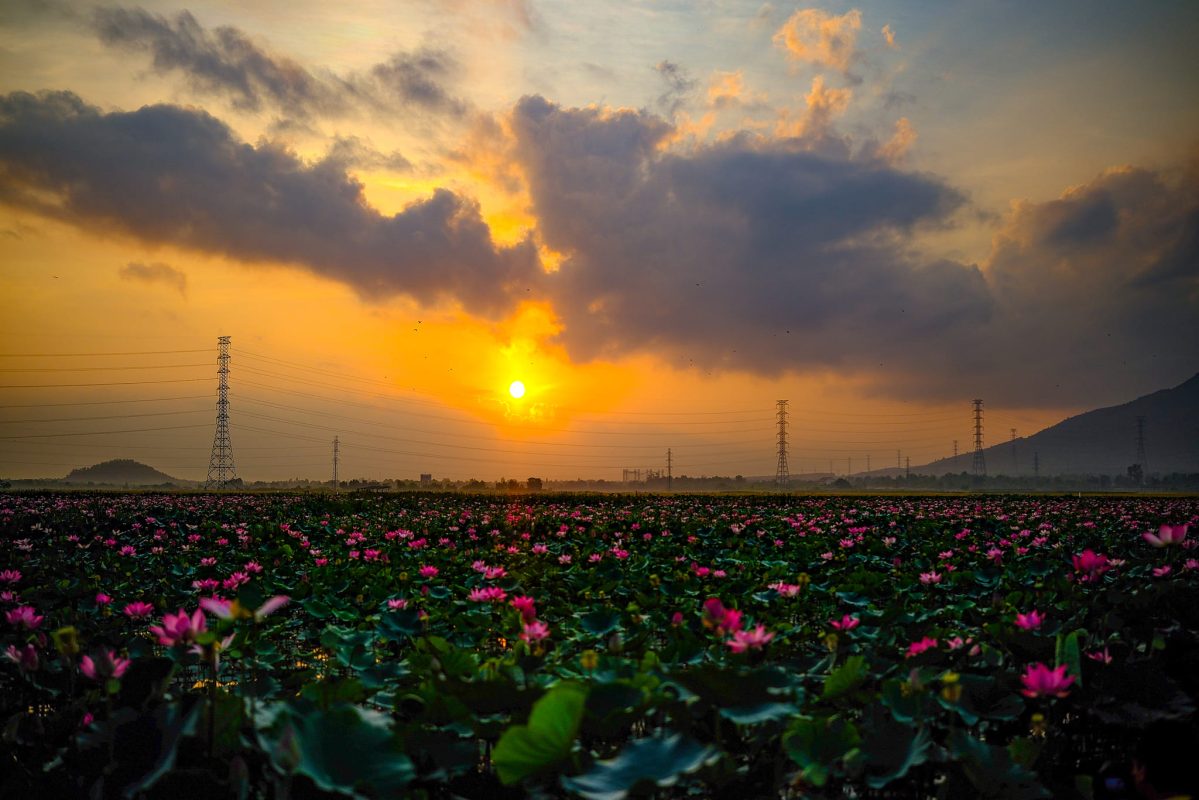 Bán Nhà Đất Ninh Hòa