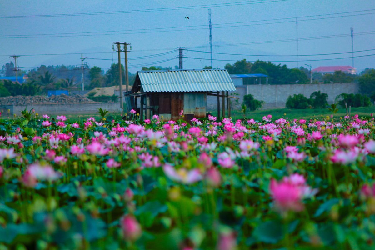 Bán Nhà Đất Ninh Hòa