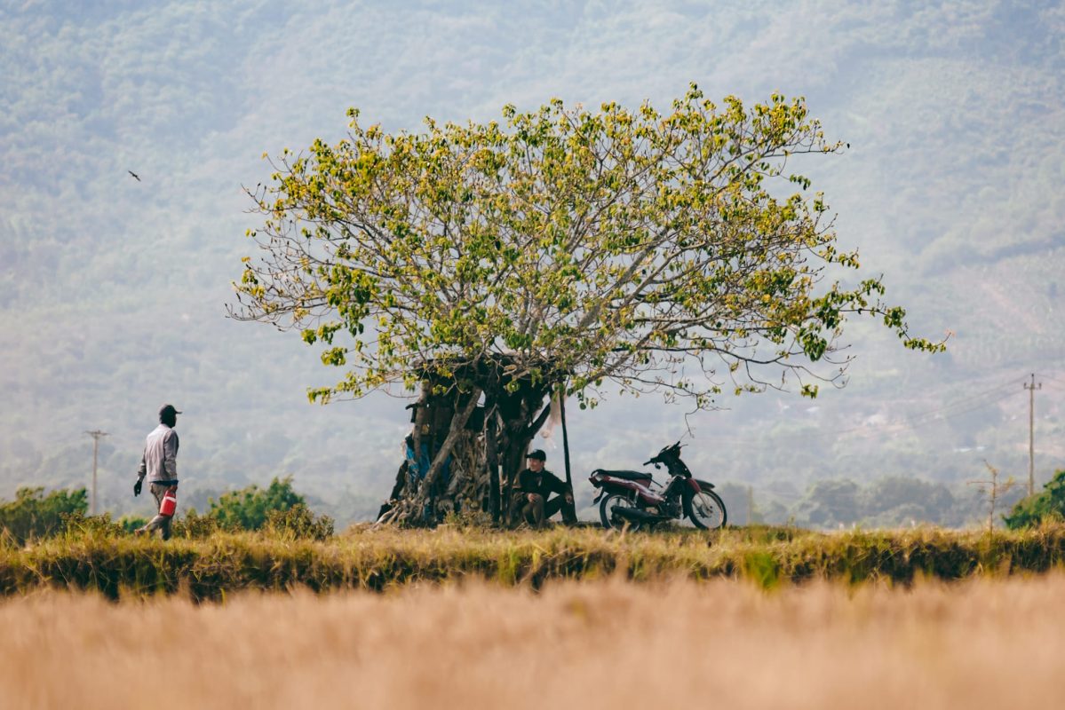 Bán Nhà Đất Ninh Hòa