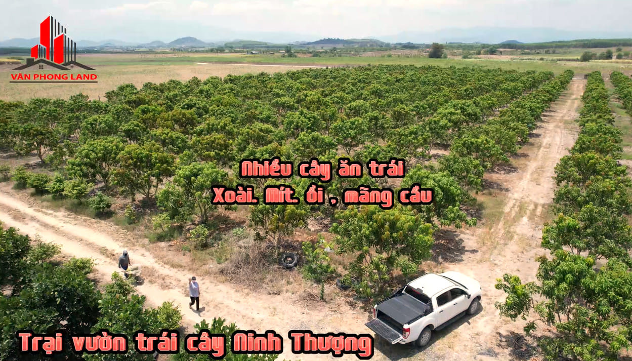 Bán Nhà Đất Ninh Hòa