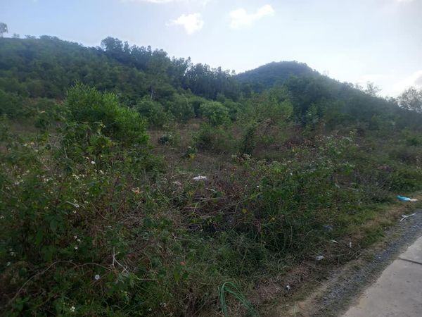 Bán Nhà Đất Ninh Hòa