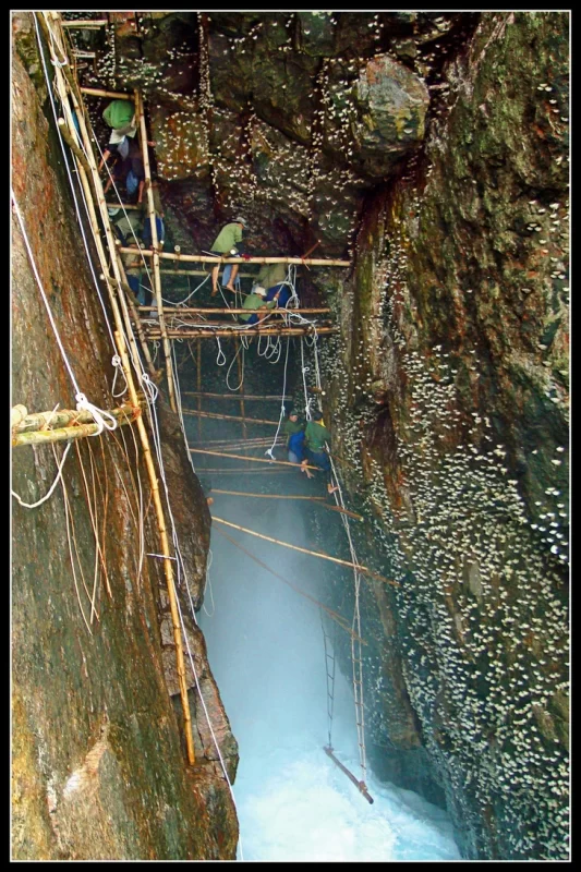 Bán Nhà Đất Ninh Hòa