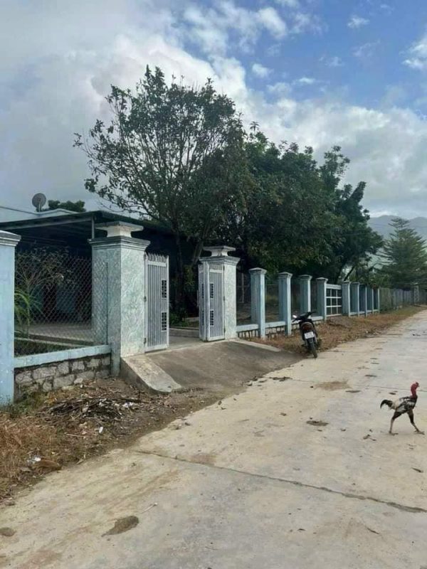 Bán Nhà Đất Ninh Hòa