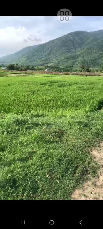 Bán Nhà Đất Ninh Hòa