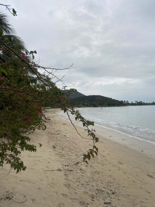 Bán Nhà Đất Ninh Hòa