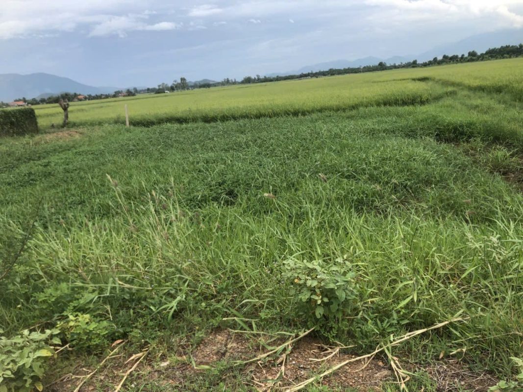 Bán Nhà Đất Ninh Hòa