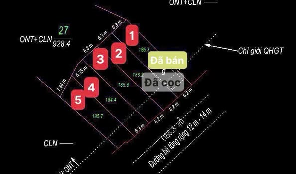 566205379 4292452587642389 8475219904128841377 n