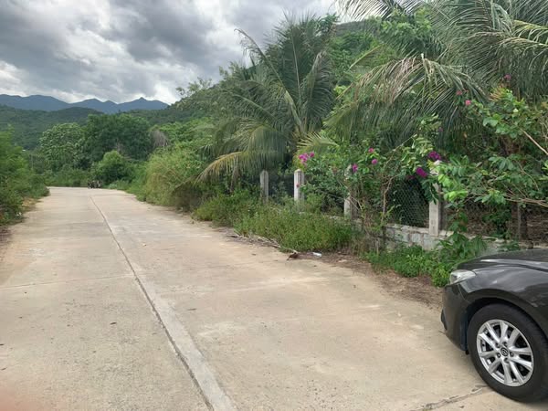 566212068 4292452527642395 8629222219589540410 n