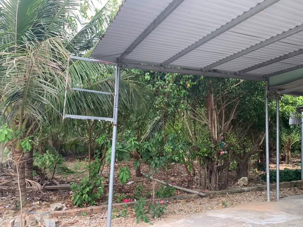 568624252 4292452540975727 1618942802991677017 n