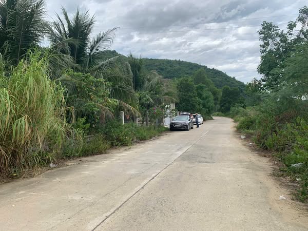 565656177 4292452607642387 7502123905500455946 n