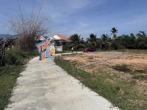 565866577 3351401961692315 2336875086619480488 n