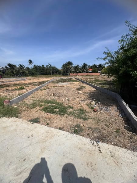 566320239 3351401908358987 6975894281453937832 n