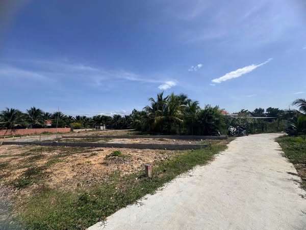 567520290 3351401901692321 1039647218115920936 n