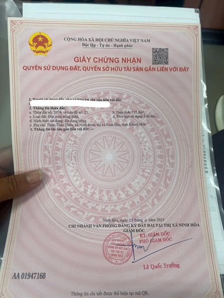 565713445 3351401968358981 2051618936553754582 n