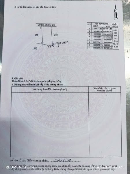 566218546 1205126598118339 7941853363816062270 n