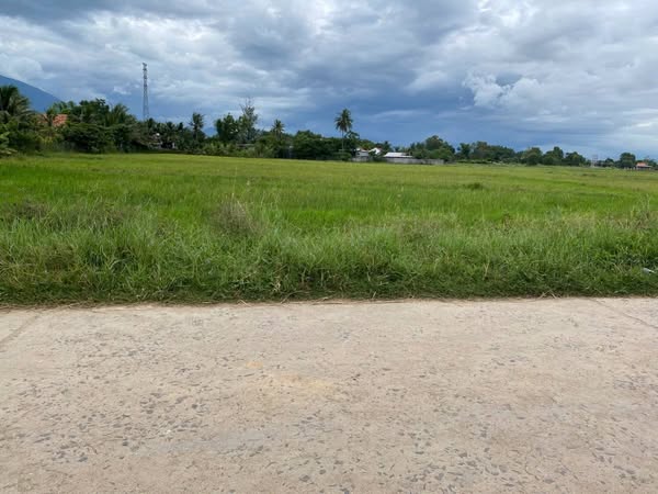 566218234 1423476419354872 4756037075546667903 n