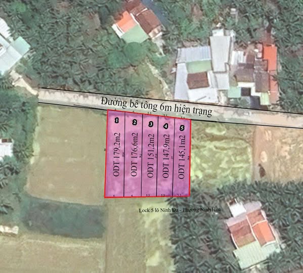 565359241 2429983560729723 6381994695467857273 n